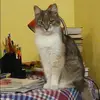 Отзыв от Карина Большакова